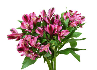 Fototapeta na wymiar Bouquet of pink alstroemeria flowers