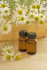 Aroma oil with chamomile flowers
