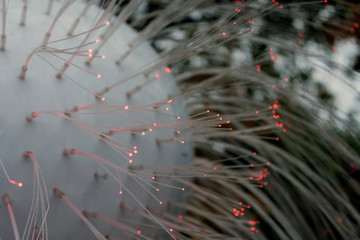 fiber optic with a pink-red glow as decoration and illumination on a festive decoration