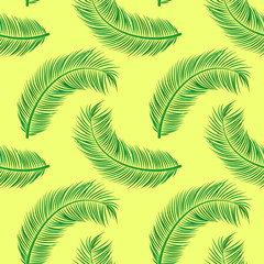 Coconut palm leaves pattern