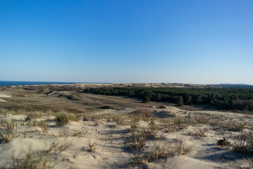 View of Dead Dunes, Curonian Spit and Curonian Lagoon