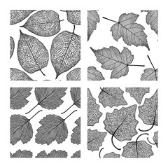 Set of four seamless patterns with skeleton leaves. Stefanander, hawthorn and poplar.