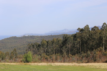 Paisaje Asturiano