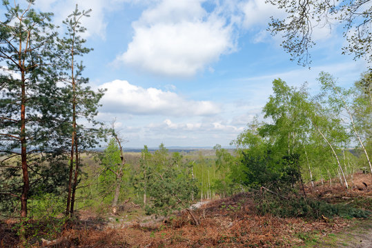 Ermenonville bilder Bläddra bland 101 stockfoton, vektorer och videor