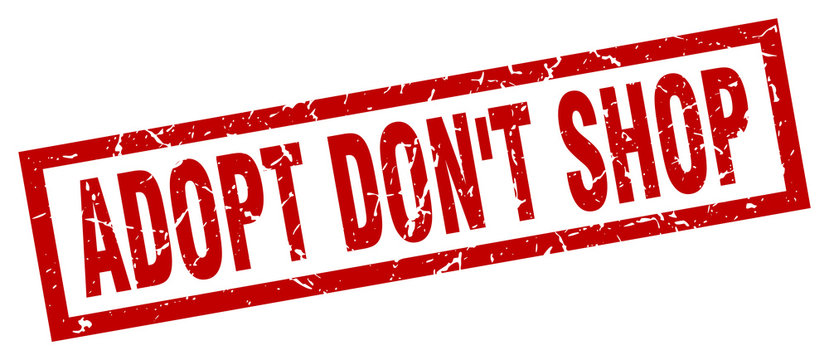 square grunge red adopt don't shop stamp