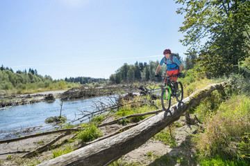 Mountain biker riding on tree trunk in forest, Bavaria, Germany