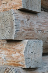 Chocholow © Perovskia