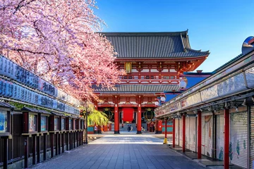 Fototapete Tokio Kirschblüten und Tempel in Asakusa Tokio, Japan.