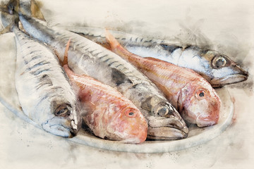 pesce di mare sgombri triglie rosse