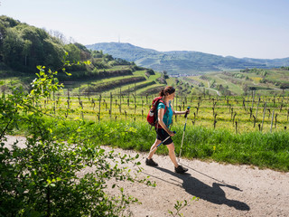 Woman hiking through vineyard terraces of Mondhalde, Baden-Württemberg, Germany