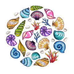 Hand painted watercolor shells template isolated on white background.