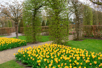 Fototapeta na wymiar Spring bright flower beds in the botanical park Keukenhof, the Netherlands