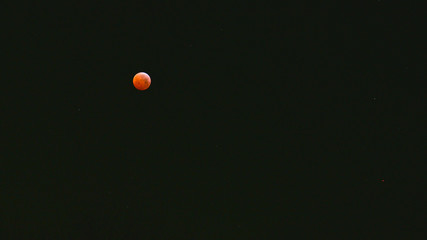 Eclisse di luna rossa nel mese di gennaio © fotonaturali