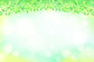 Fototapeta premium 緑の葉 水玉,バブル,光のバックグラウンド