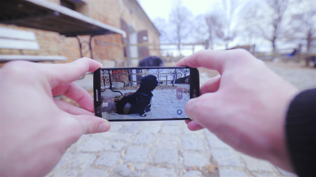 Record a video of dog with smartphone