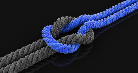 3d image of Tied knot	