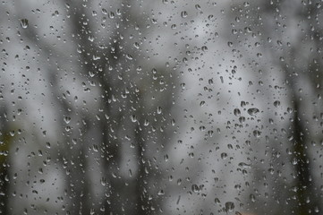 Rain drops on the window with forest background