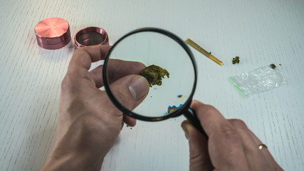 The person looking at medical marijuana buds with magnifying glass.