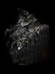 Fototapeta premium Burnt tree. coal texture. Black background&