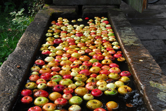 apples in black forest