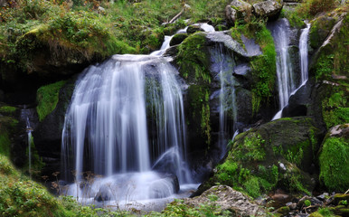 Obraz premium waterfall in forest