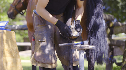Blacksmith put horseshoe on horse hoof