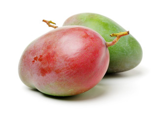 mangos on white background 