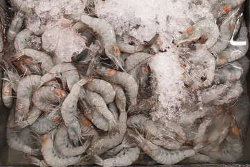 Seafood stall in the market