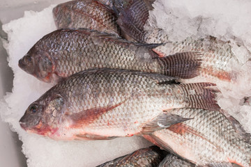fish stall in market