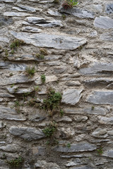 Steinwand