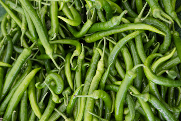 Green chilli pepper background.