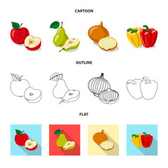 Vector design of vegetable and fruit symbol. Set of vegetable and vegetarian vector icon for stock.