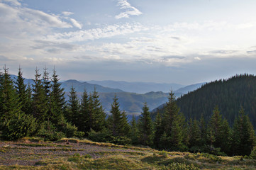 Mountain landscape with green grass against the sky. Panoramic view of the cliffs without people. Wildlife on hills and altitude.