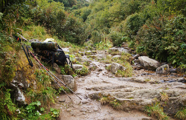 Tourist backpack and trekking poles against the backdrop of mountain forests and wildlife.