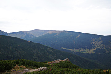 Fototapeta premium Mountain landscape with green grass against the sky. Panoramic view of the cliffs without people. Wildlife on hills and altitude.