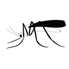 vector isolated black and white mosquito silhouette