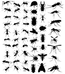 vector, isolated, set of silhouette beetles, ants, mosquitoes