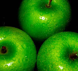 Green ripe apple with water droplets on a dark background, closeup