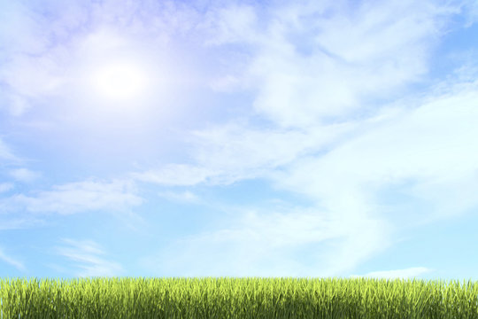 background of green grass against the background of   the summer sky 3d render