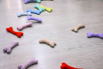 toy soft bone for games and dog development.