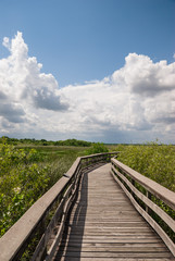 Fototapeta na wymiar wooden walkway through meadow on sunny day