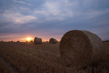 Sun shining between hay bales at sunset