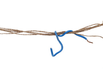 Brown strings, thread, rope isolated on white background and texture, with clipping path