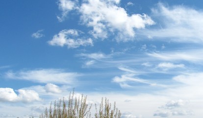 unique life heavenly