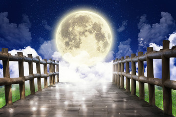 bridge to the moon 