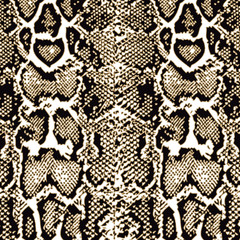 Animal print, leopard texture background