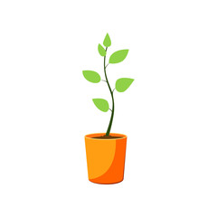 Home plant. Potted sprout with green leaves. Agriculture attributes concept. Vector illustration can be used for topics like gardening, farming, horticulture