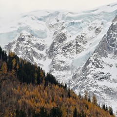 glacier de montagne avec un premier plan d'arbre d'automne