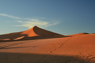 Fototapeta na wymiar Sand dune, Sahara Desert.