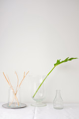 Dried flower and green leaf plant in glass vases on white table top on white wall background in natural light with empty copy space for text or mock up placement. Minimal interior design concept